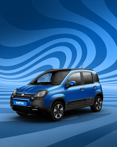 Banner Fiat Panda 
